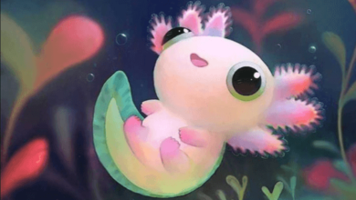 Cute:9hvtaqpxk5e= Kawaii:0vv6g7qou0c= Axolotl