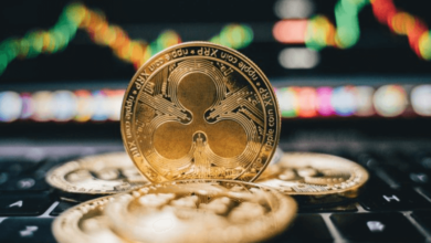 Factors That Could Influence XRP Price USDT This Month