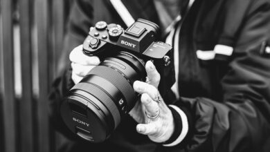 operational forecast details provided